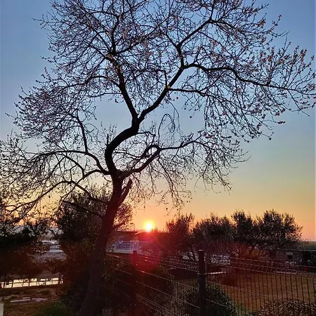 Apartma Soline Seca Apartman Portoroz