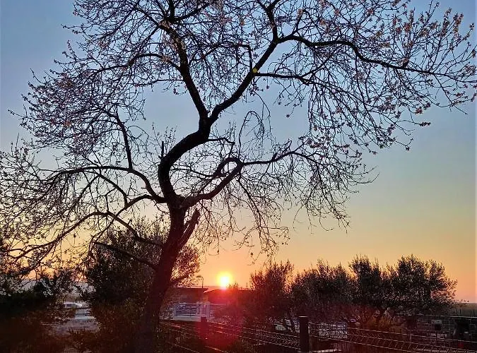 Apartma Soline Seca Apartma Portoroz